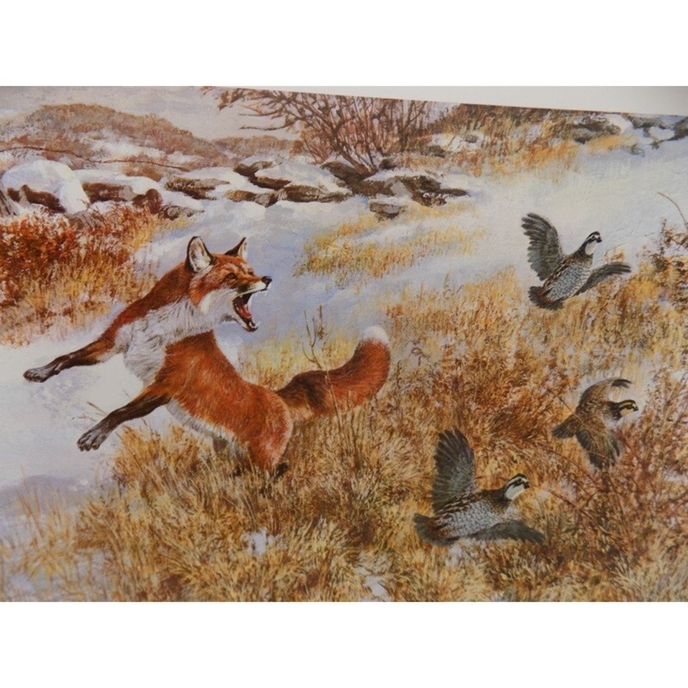 Vintage Tom Beecham Fox & Quail Wildlife Art Print  11"x14" w/ 1 Inch Border